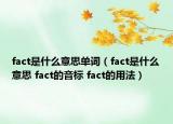 fact是什么意思单词（fact是什么意思 fact的音标 fact的用法）