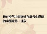 硫在空气中燃烧铁在氧气中燃烧的字面意思；现象