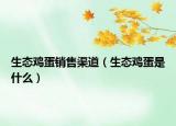 生态鸡蛋销售渠道（生态鸡蛋是什么）