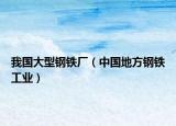 我国大型钢铁厂（中国地方钢铁工业）