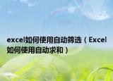 excel如何使用自动筛选（Excel如何使用自动求和）