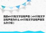我的siri只有文字没有声音（siri只有文字没有声音为什么 siri只有文字没有声音怎么办介绍）
