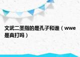 文武二圣指的是孔子和谁（wwe是真打吗）