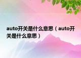 auto开关是什么意思（auto开关是什么意思）