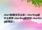 chart的英文怎么说（charting是什么意思 charting的音标 charting的用法）