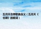 五月天仓颉歌曲含义（五月天《仓颉》的歌词）
