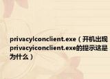 privacylconclient.exe（开机出现privacyiconclient.exe的提示这是为什么）