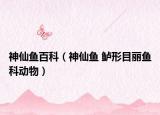 神仙鱼百科（神仙鱼 鲈形目丽鱼科动物）