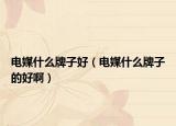 电媒什么牌子好（电媒什么牌子的好啊）
