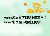 word怎么在下划线上面写字（word怎么在下划线上打字）