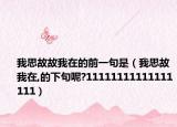 我思故故我在的前一句是（我思故我在,的下句呢?11111111111111111）