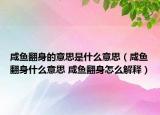 咸鱼翻身的意思是什么意思（咸鱼翻身什么意思 咸鱼翻身怎么解释）