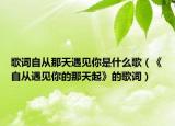 歌词自从那天遇见你是什么歌（《自从遇见你的那天起》的歌词）