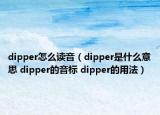 dipper怎么读音（dipper是什么意思 dipper的音标 dipper的用法）