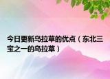 今日更新乌拉草的优点（东北三宝之一的乌拉草）