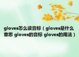 gloves怎么读音标（gloves是什么意思 gloves的音标 gloves的用法）