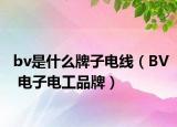 bv是什么牌子电线（BV 电子电工品牌）