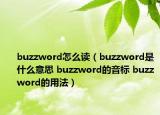 buzzword怎么读（buzzword是什么意思 buzzword的音标 buzzword的用法）
