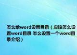 怎么给word设置目录（应该怎么设置word目录 怎么设置一个word目录介绍）