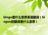 bingo是什么意思英语翻译（bingoo的翻译是什么意思）