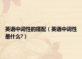 英语中词性的搭配（英语中词性是什么?）