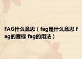 FAG什么意思（fag是什么意思 fag的音标 fag的用法）