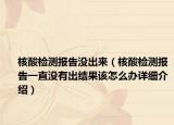 核酸检测报告没出来（核酸检测报告一直没有出结果该怎么办详细介绍）