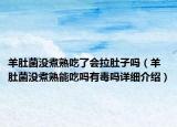 羊肚菌没煮熟吃了会拉肚子吗（羊肚菌没煮熟能吃吗有毒吗详细介绍）