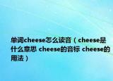 单词cheese怎么读音（cheese是什么意思 cheese的音标 cheese的用法）