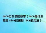nice怎么读的意思（nice是什么意思 nice的音标 nice的用法）