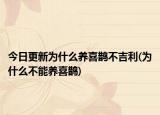今日更新为什么养喜鹊不吉利(为什么不能养喜鹊)