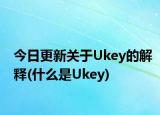 今日更新关于Ukey的解释(什么是Ukey)