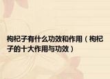 枸杞子有什么功效和作用（枸杞子的十大作用与功效）