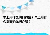 早上用什么饵料钓鱼（早上用什么洗面奶详细介绍）