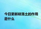 今日更新硅藻土的作用是什么