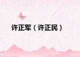许正军（许正民）