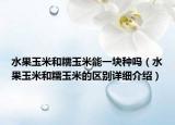 水果玉米和糯玉米能一块种吗（水果玉米和糯玉米的区别详细介绍）