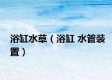 浴缸水草（浴缸 水管装置）