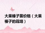 大果榛子苗价格（大果榛子的栽培）