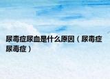 尿毒症尿血是什么原因（尿毒症 尿毒症）