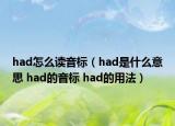 had怎么读音标（had是什么意思 had的音标 had的用法）