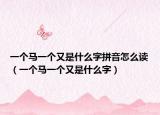 一个马一个又是什么字拼音怎么读（一个马一个又是什么字）