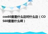 cos60度是什么边对什么边（COS60度是什么啊）