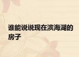 谁能说说现在滨海湖的房子
