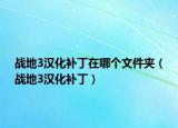 战地3汉化补丁在哪个文件夹（战地3汉化补丁）