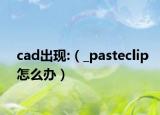 cad出现:（_pasteclip怎么办）