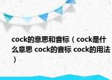cock的意思和音标（cock是什么意思 cock的音标 cock的用法）