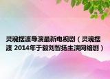 灵魂摆渡导演最新电视剧（灵魂摆渡 2014年于毅刘智扬主演网络剧）