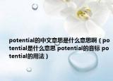 potential的中文意思是什么意思啊（potential是什么意思 potential的音标 potential的用法）