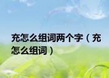 充怎么组词两个字（充怎么组词）